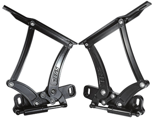 Hood Hinges